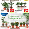 lidl 10 a 16 maio digital